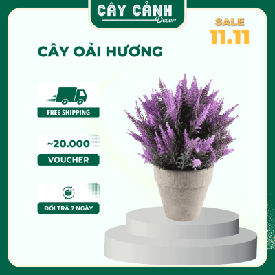 cây hoải hương