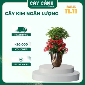 Kim Ngân Lượng tài lộc