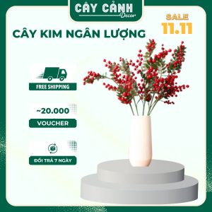 Kim Ngân Lượng may mắn